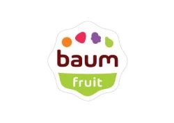Logo Baum Fruit